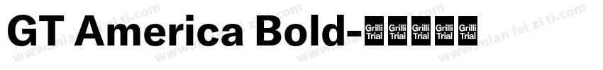 GT America Bold字体转换
